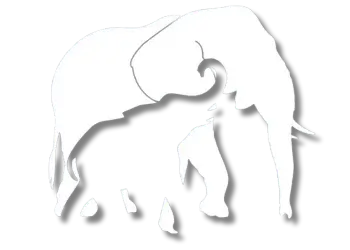 Logo sin fondo